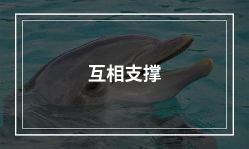 互相支撑