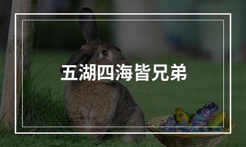 五湖四海皆兄弟