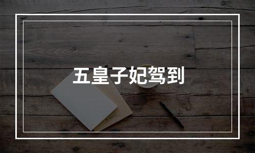 五皇子妃驾到