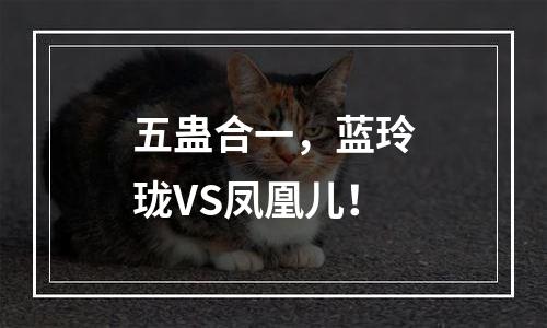 五蛊合一，蓝玲珑VS凤凰儿！