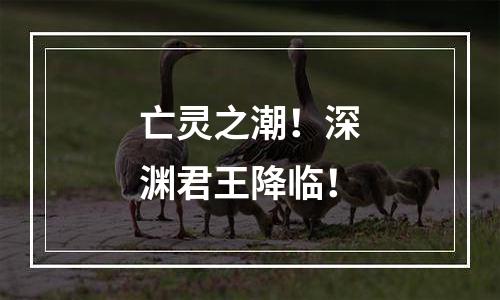 亡灵之潮！深渊君王降临！