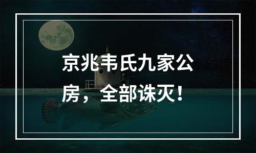 京兆韦氏九家公房，全部诛灭！