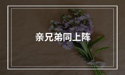 亲兄弟同上阵