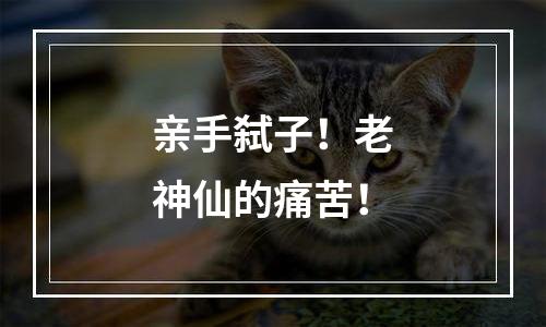 亲手弑子！老神仙的痛苦！