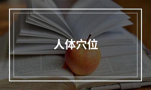 人体穴位