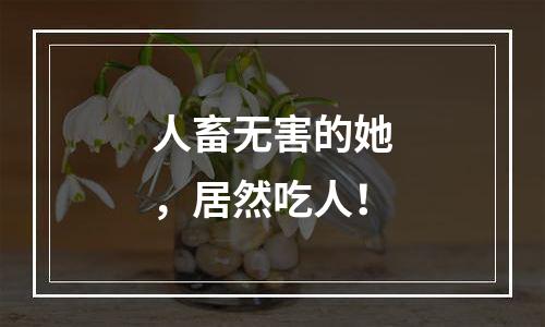 人畜无害的她，居然吃人！