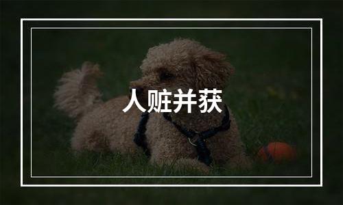 人赃并获