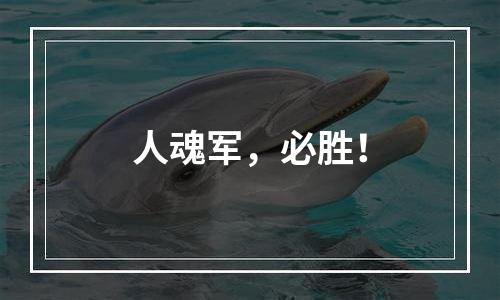 人魂军，必胜！