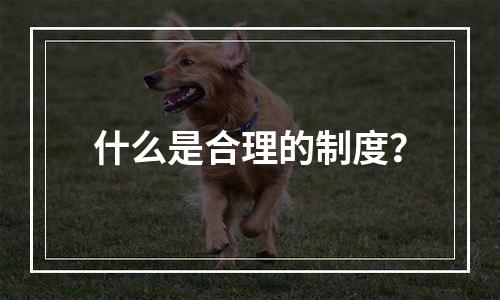 什么是合理的制度？