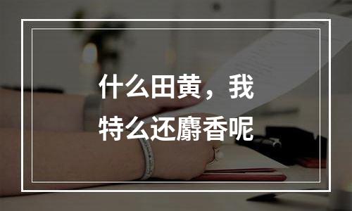 什么田黄，我特么还麝香呢