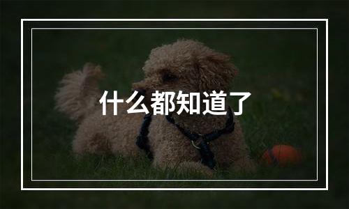 什么都知道了