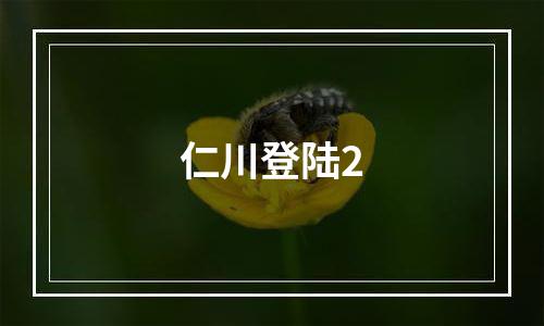仁川登陆2