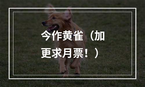 今作黄雀（加更求月票！）