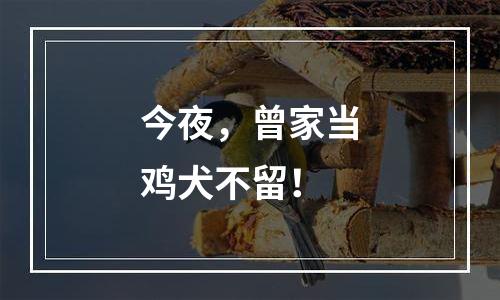今夜，曾家当鸡犬不留！