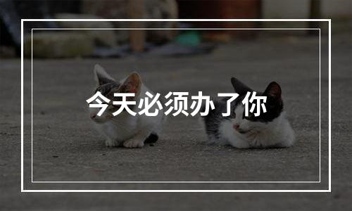 今天必须办了你