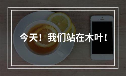 今天！我们站在木叶！
