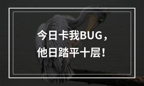 今日卡我BUG，他日踏平十层！