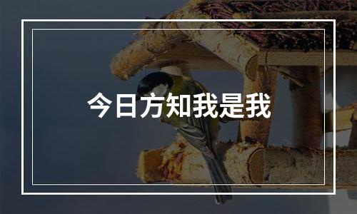 今日方知我是我