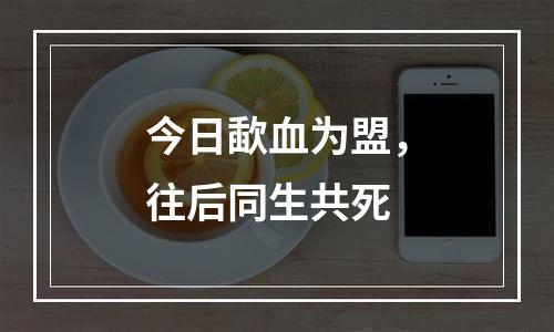 今日歃血为盟，往后同生共死