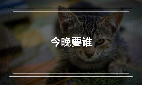 今晚要谁
