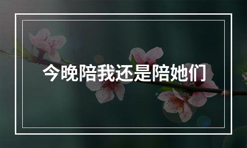 今晚陪我还是陪她们