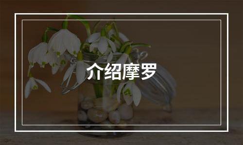 介绍摩罗