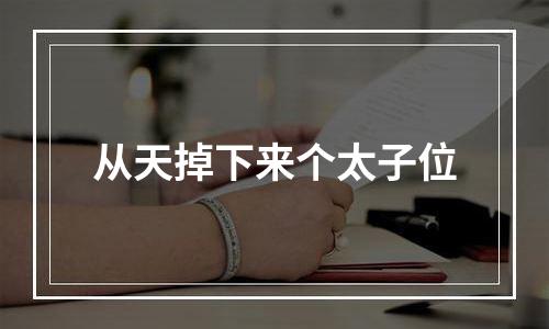 从天掉下来个太子位