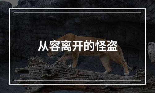 从容离开的怪盗