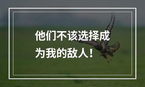 他们不该选择成为我的敌人！