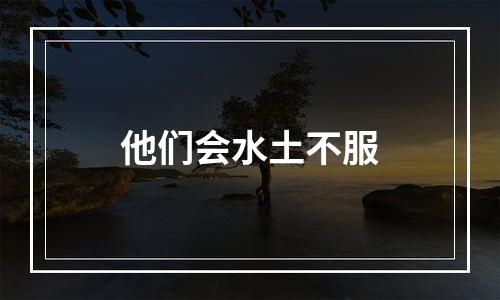 他们会水土不服
