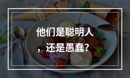 他们是聪明人，还是愚蠢？