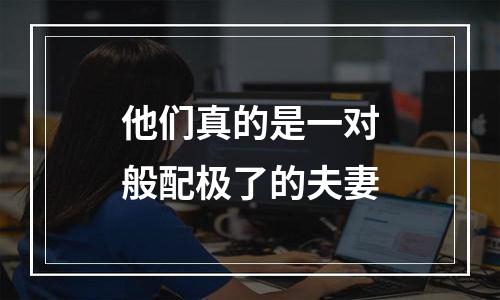 他们真的是一对般配极了的夫妻