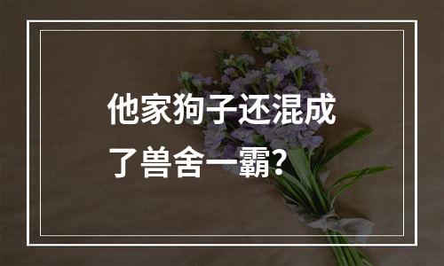 他家狗子还混成了兽舍一霸？