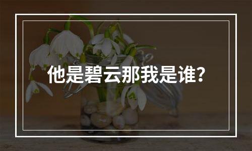 他是碧云那我是谁？