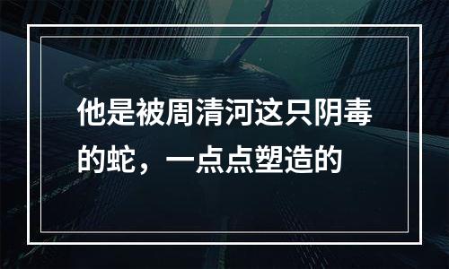 他是被周清河这只阴毒的蛇，一点点塑造的
