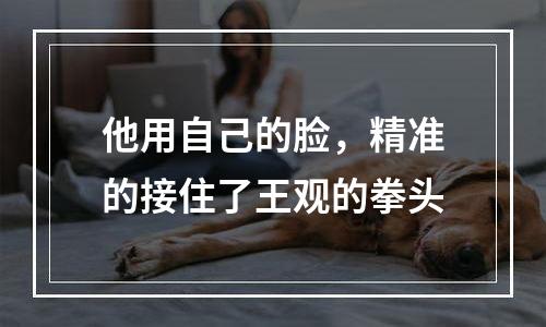 他用自己的脸，精准的接住了王观的拳头