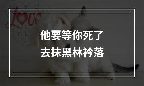 他要等你死了去抹黑林衿落
