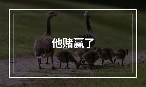 他赌赢了