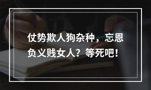 仗势欺人狗杂种，忘恩负义贱女人？等死吧！