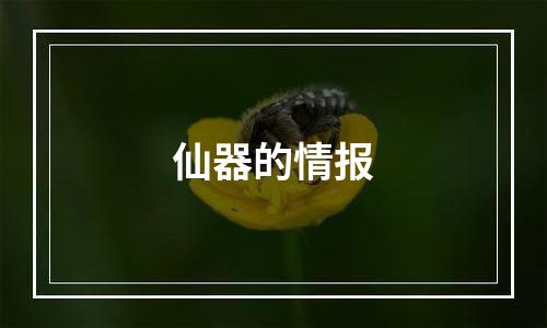 仙器的情报