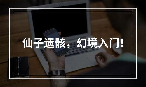 仙子遗骸，幻境入门！