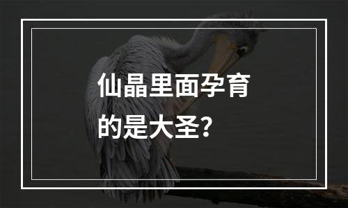 仙晶里面孕育的是大圣？