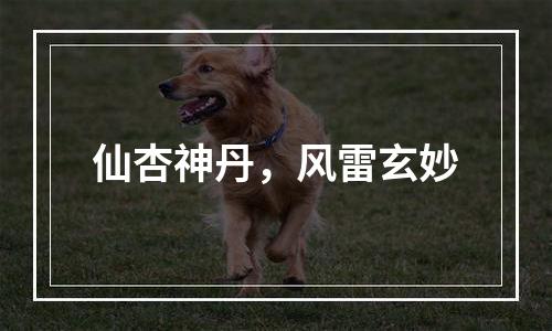 仙杏神丹，风雷玄妙