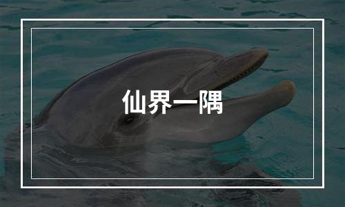 仙界一隅
