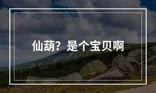 仙葫？是个宝贝啊