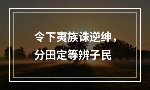 令下夷族诛逆绅，分田定等辨子民