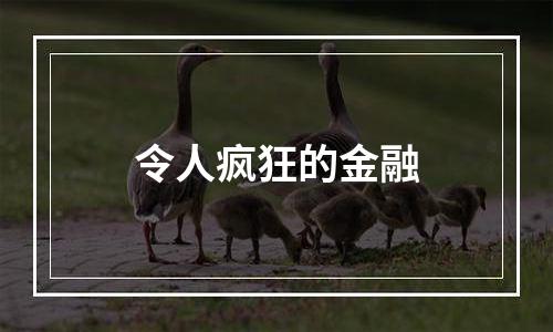 令人疯狂的金融