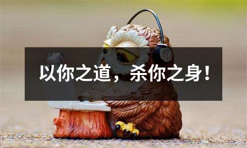以你之道，杀你之身！