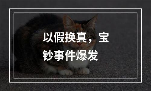 以假换真，宝钞事件爆发