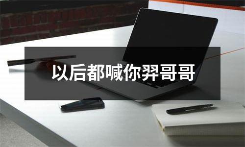 以后都喊你羿哥哥